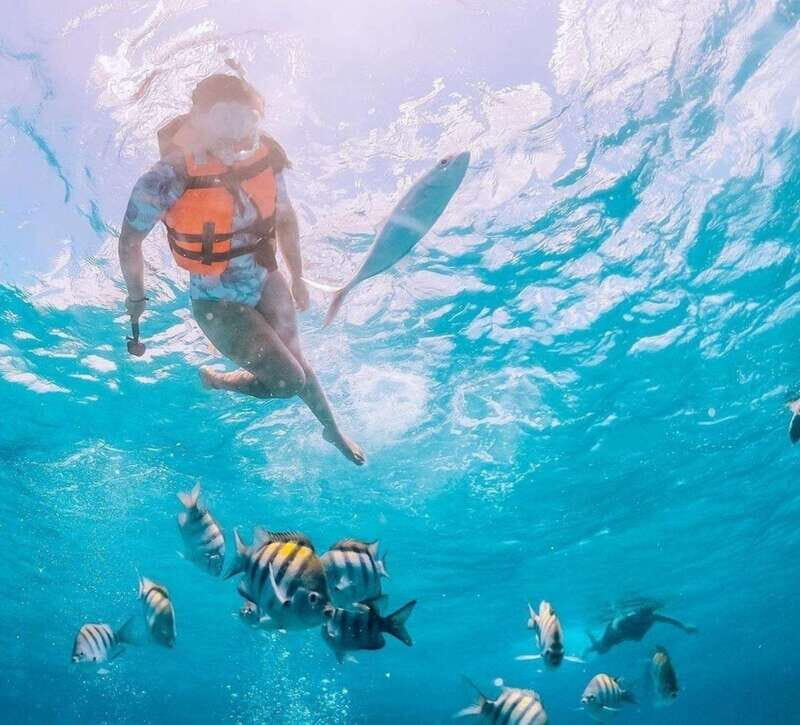 Puerto Vallarta: Los Arcos Islands Boat Tour and Snorkeling - Water conditions: currents, visibility, and why your guide’s advice counts