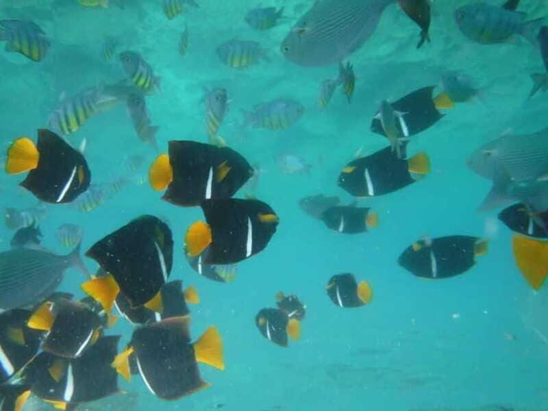 Puerto Vallarta: Los Arcos Snorkel & Beach Private Boat Tour - Hop-off beaches south of the bay: the part people often remember most
