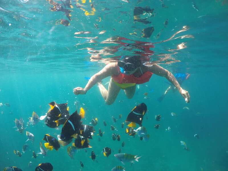 Puerto Vallarta: Luxury Yacht Tour with Lunch and Open Bar - Out on the Bay of Banderas: lounging, wildlife hopes, and what the crew actually does