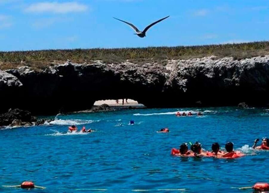 Puerto Vallarta: Marietas Island, Breakfast, Lunch, Open Bar - Key Things You’ll Actually Notice on This Tour