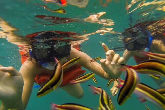 Puerto Vallarta: Marietas Islands with Open Bar and Food - Price and value: what $95.64 buys you, plus the extras