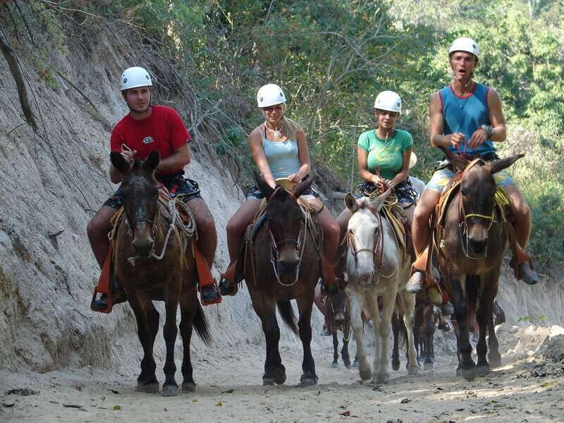 Puerto Vallarta: Outdoor Ziplines and Rappel Adventure - Key things that make this outing worth your time