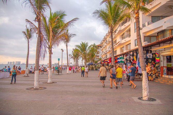 Puerto Vallarta Private Art Tour - What You’ll See and Do During the Walk (Without Overpromising)