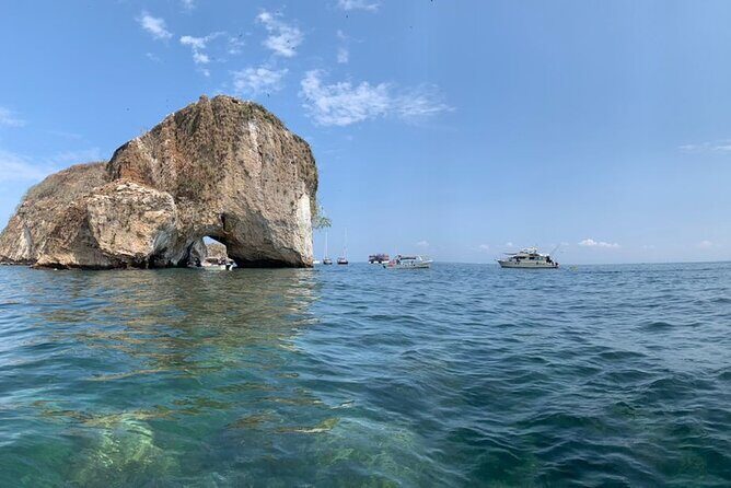 Puerto Vallarta Private snorkeling trip at Los Arcos & Majahuitas - Wildlife expectations: what you can realistically aim for