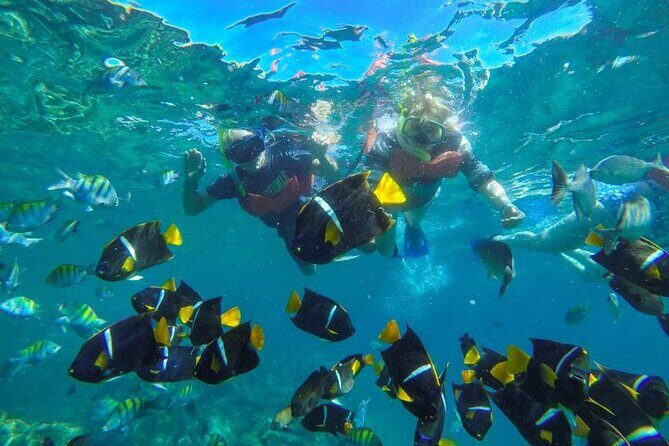 Puerto Vallarta: Private Yelapa Beach & Snorkel Tour on a Yacht - Yelapa beach time: lunch on shore, waterfall hikes, and easy adventures