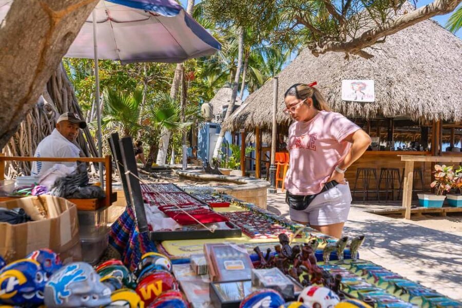 Puerto Vallarta: Sayulita and San Pancho Beaches Tour - Smooth guide energy (and what to watch for)
