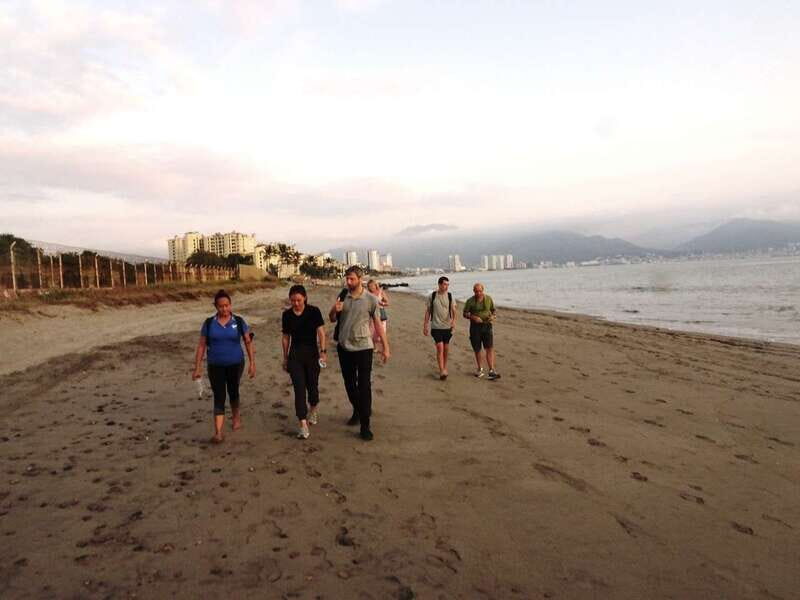 Puerto Vallarta: Sea turtle release at Sunset - Key highlights to look for