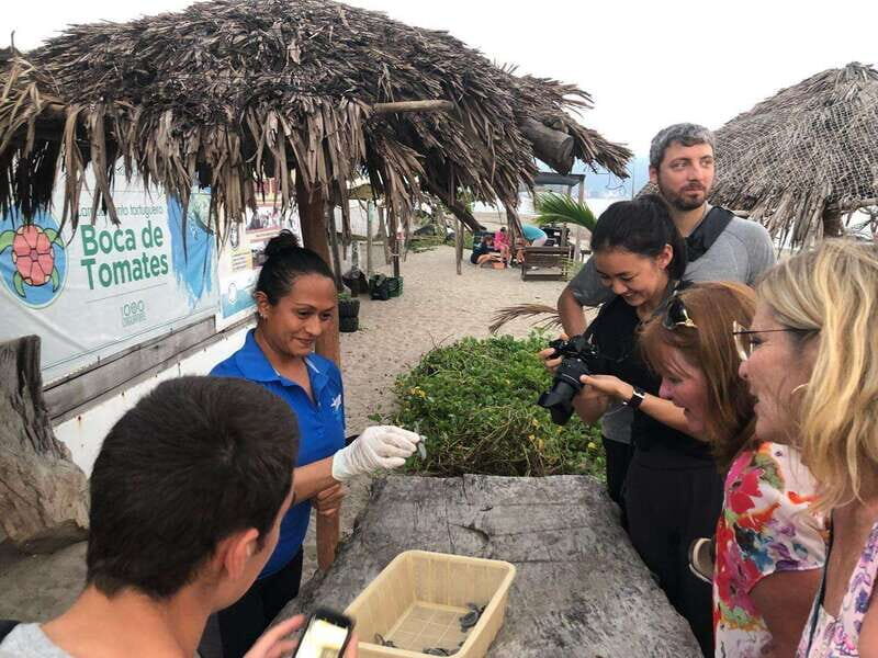 Puerto Vallarta: Sea turtle release at Sunset - What to bring, what to wear, and what to avoid