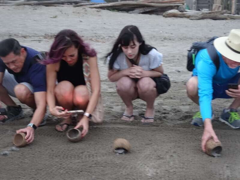 Puerto Vallarta: Sea turtle release at Sunset - Sea Turtle Camp Meets Puerto Vallarta at Sunset