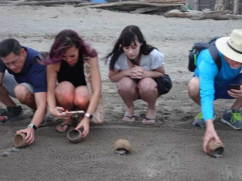 Puerto Vallarta: Sea turtle release at Sunset - The hatchling release: the moment that changes the mood