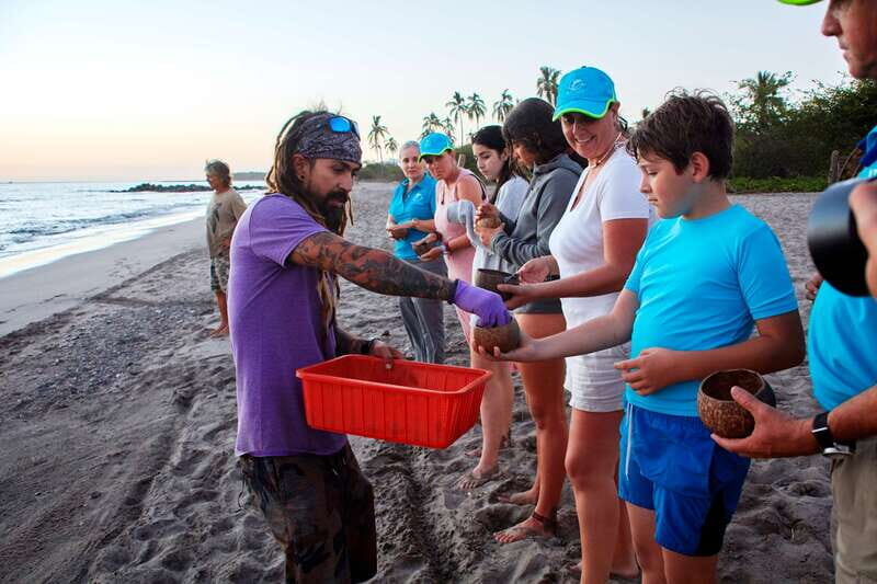 Puerto Vallarta: Sea turtle release at Sunset - Who should book this sea turtle sunset experience