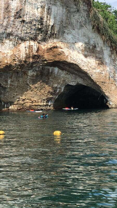 Puerto Vallarta: Snorkeling Tour to Los Arcos de Mismaloya - Wildlife moments: birds overhead and the humpback surprise