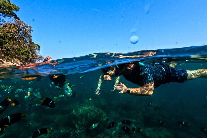 Puerto Vallarta: Tropical Fish Snorkeling and Zipline Tour - Meeting in Zona Romántica: where to show up