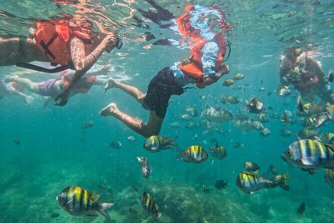 Puerto Vallarta: Tropical Fish Snorkeling and Zipline Tour - Playa Majahuitas snorkeling: 90 minutes with tropical fish