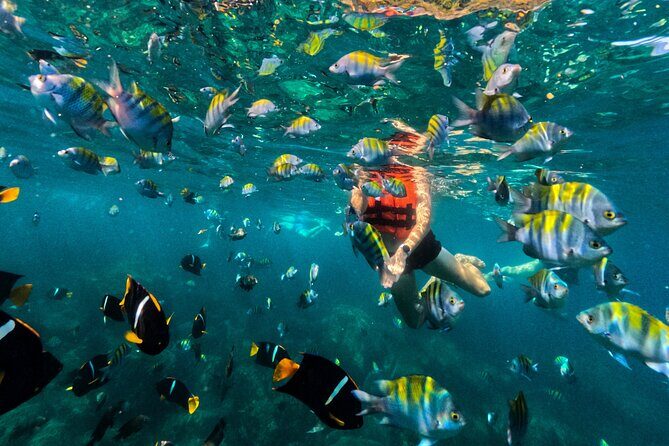 Puerto Vallarta: Tropical Fish Snorkeling and Zipline Tour - Timing the switch: from ocean time to adrenaline at Las Ánimas