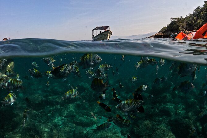 Puerto Vallarta: Tropical Fish Snorkeling and Zipline Tour - Las Animas Adventure Park: zip line, suspension bridges, rock climbing