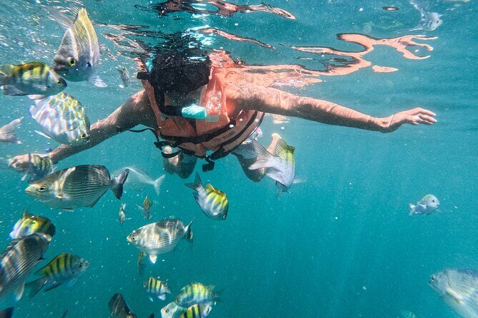 Puerto Vallarta: Tropical Fish Snorkeling and Zipline Tour - The included photos (and why you’ll be glad about them)