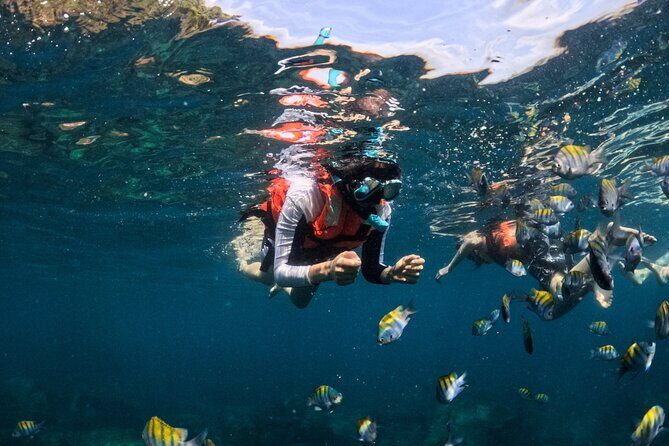Puerto Vallarta: Tropical Fish Snorkeling and Zipline Tour - Playa Las Ánimas time: beach, photos, and a meal you choose