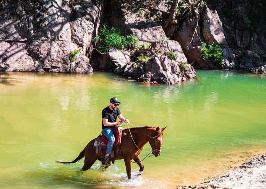 Puerto Vallarta: Tropical Forest Horseback Ride - Getting There: Local Library Pickup and a Smooth Start