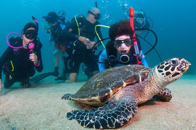 Puerto Vallarta Undersea Private Scuba Diving - Private boat time: how this tour feels once you’re on the water