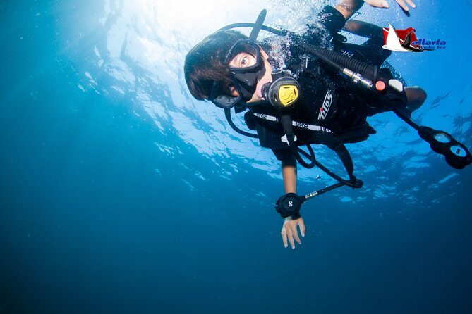 Puerto Vallarta Undersea Private Scuba Diving - Beginner-friendly scuba: what that actually means for your day