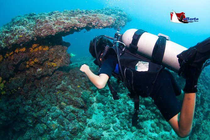 Puerto Vallarta Undersea Private Scuba Diving - What’s included (and what keeps you from feeling nickel-and-dimed)