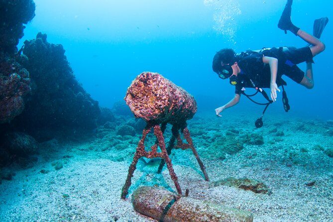 Puerto Vallarta Undersea Private Scuba Diving - The guides and captains: why names keep showing up in reviews