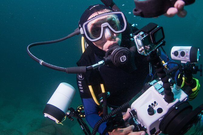 Puerto Vallarta Undersea Private Scuba Diving - Price and value: what $550 per group really buys you