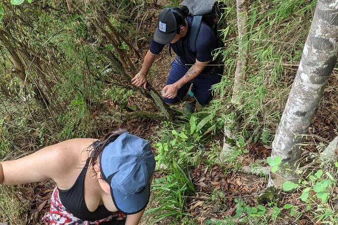 Puerto Vallarta Waterfall Hike - Price and value: what $39.37 gets you in Puerto Vallarta