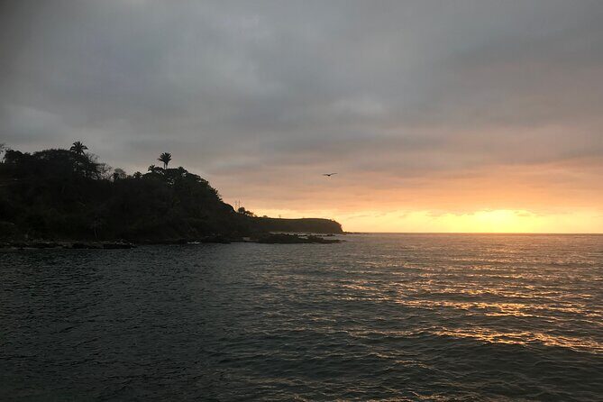 Puerto Vallarta's Yelapa Boat & Walking Tour - Price and logistics: what your $55.50 really covers