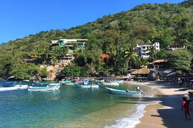 Remote Hidden Beaches Hike of South Shore (Puerto Vallarta) - Key highlights you’ll notice fast