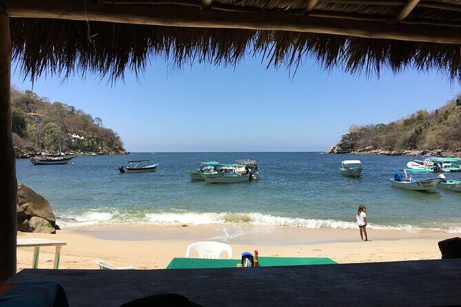 Remote Hidden Beaches Hike of South Shore (Puerto Vallarta) - Timing, group pace, and what to bring for comfort