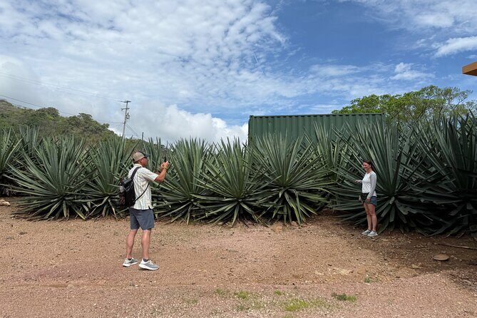 San Sebastián del Oeste Tour Coffee Tequila and Colonial Charm - Coffee Plantation Morning: Learn the Work Behind Your Cup