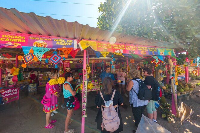 Sayulita and San Pancho Tour - Guide and driver: what to expect from the human factor