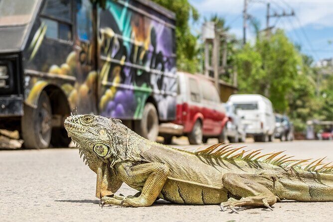 Sayulita Beach Day Trip from Puerto Vallarta - Sayulita free time: surf, shops, and self-guided wandering