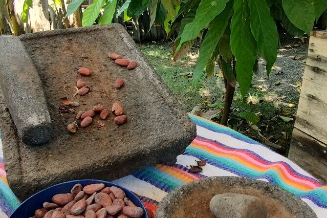 Sayulita Local Flavors - Mary’s Traditional Mexican Cuisine: lunch you can plan around