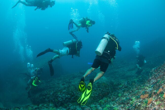 Scuba Diving Puerto Vallarta Undersea Arcos or Marietas - Your crew matters: patient coaching from Eric, Carlos, Nahum, Martin, Rodrigo, and Javi