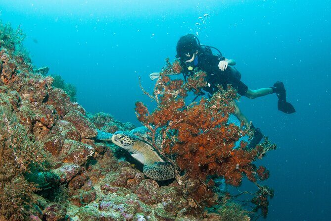 Scuba Diving Puerto Vallarta Undersea Arcos or Marietas - Los Arcos de Mismaloya: underwater time for practice and real depth