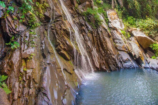 Sea Safari & Beach BBQ at secluded Pizota jungle beach - Horseriding reality check: river path, dusty trails, and horse welfare questions