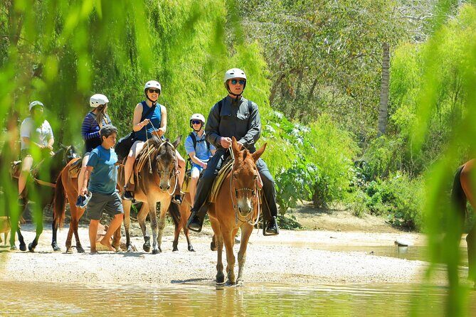 Sea Safari & Beach BBQ at secluded Pizota jungle beach - Price and extra costs: is $169 good value here?