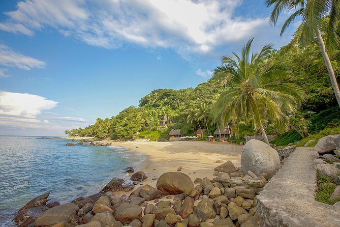 Sea Safari & Beach BBQ at secluded Pizota jungle beach - Who should book this sea safari (and who should skip it)