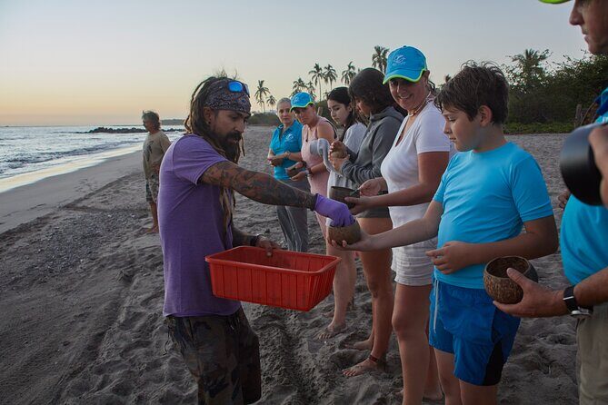 Sea Turtle Release – A Puerto Vallarta Conservation Adventure - The Sunset Release Moment: How You Help (and What You’ll Learn)