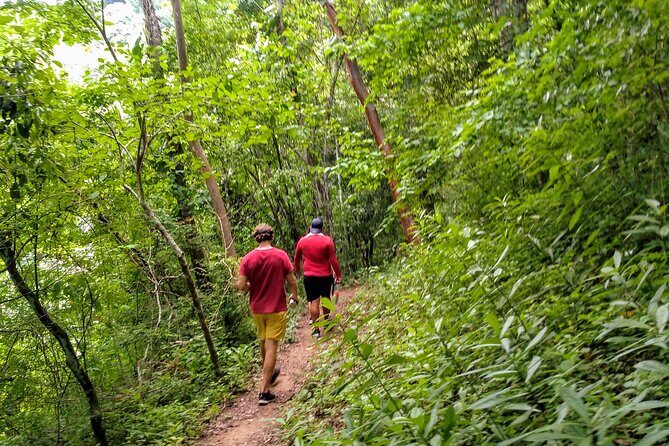 Selva y Playas Exóticas, Senderismo en Puerto Vallarta - Madagascar Beach: the middle stop with jungle-to-sea magic