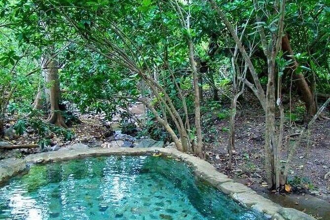 Shaded Hot Spring, Massage and Mex Grill in Puerto Vallarta - The market-and-tortilla part of the day is the real flavor of Mexico