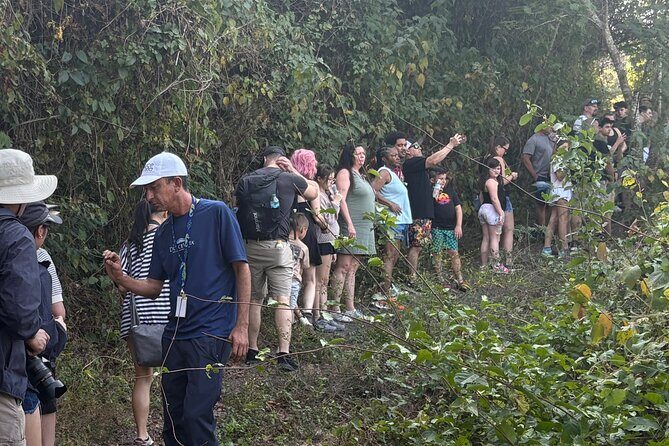Sierra Madre Hike & Rancho Experience - The BBQ lunch, margaritas, and tequila tasting you’ll remember
