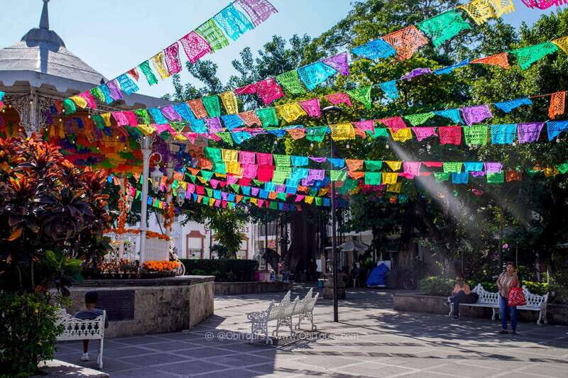 Signature City Tour: The Private Experience Puerto Vallarta - Price and value: why $113 can make sense for a private day