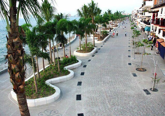 Signature Taco Tour in PV with Vallarta Eats - Quick hits before you book