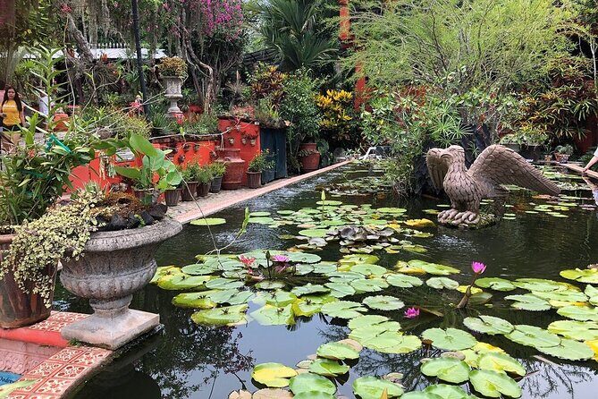 Skip the Line: Vallarta Botanical Garden Admission Ticket - The Orchid Observatory and why orchid lovers keep coming back