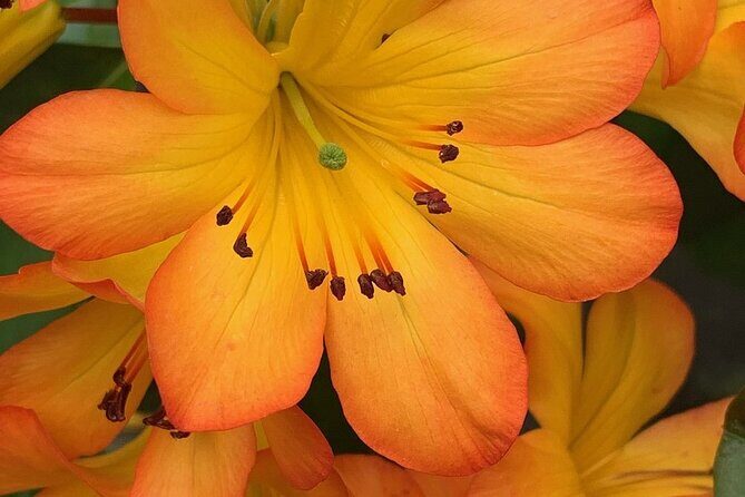 Skip the Line: Vallarta Botanical Garden Admission Ticket - Guided 1pm tours in Dec–Mar: what changes and what doesn’t