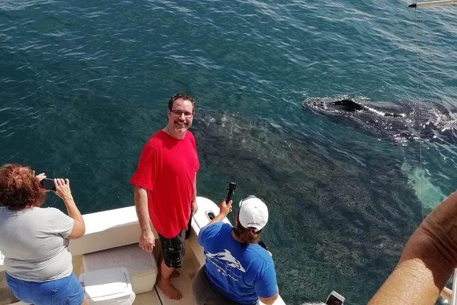 Small-Group Half-Day Whale-Watching Tour in Puerto Vallarta - Comfort and food: the included lunch actually matters